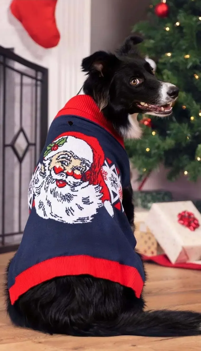Fun vintage doggie